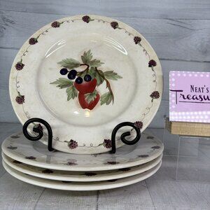 KIC Handpainted FRESH FRUIT Red Apples Blue Berries Ceramic Dinner Plates Set 4